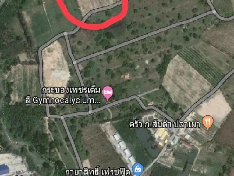 ขายที่ดิน 13 ไร่ 27 ตรว ตสำนักท้อน อบ้านฉาง จระยอง