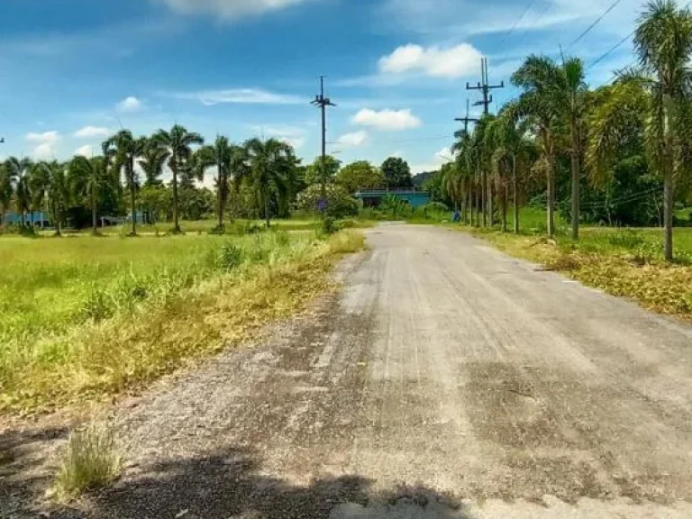 ที่สวยวิวเขาติดถนนดำทำบ้านพักรีสอร์ท