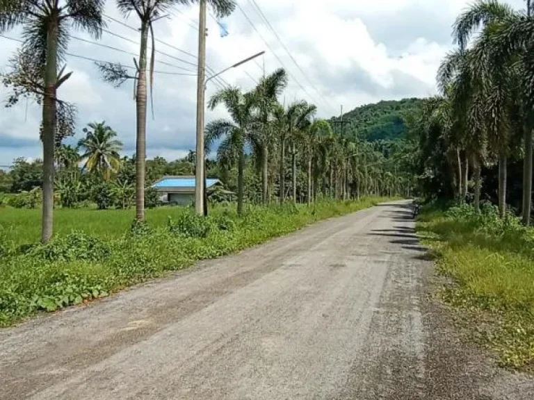 ที่สวยวิวเขาติดถนนดำทำบ้านพักรีสอร์ท