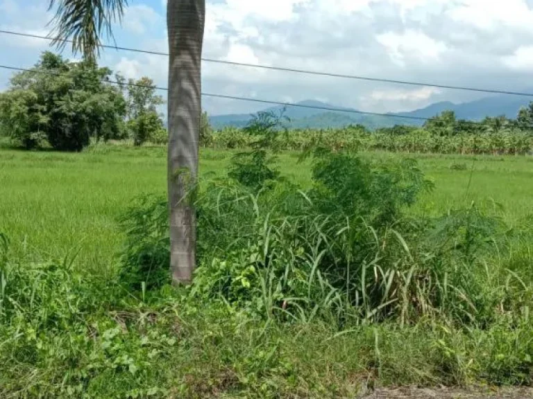 ที่สวยวิวเขาติดถนนดำทำบ้านพักรีสอร์ท