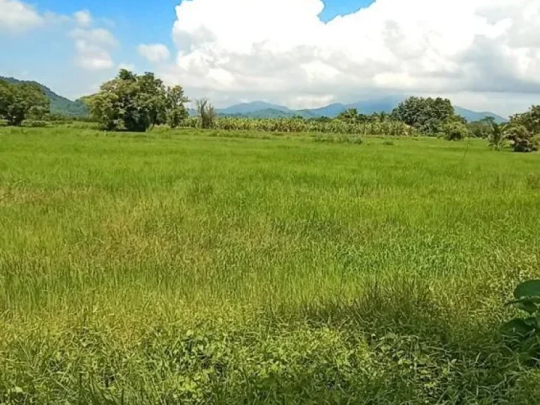 ที่สวยวิวเขาติดถนนดำทำบ้านพักรีสอร์ท