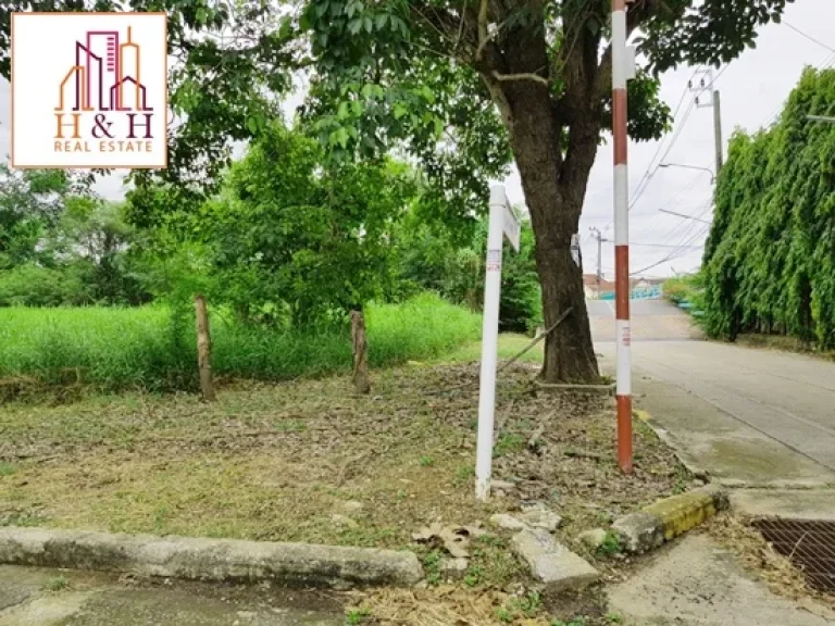 ที่ดิน 319ตรว พุทธมณฑลสาย3 กฤษดานคร18