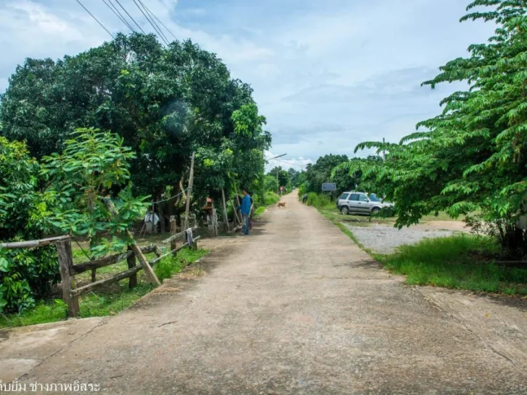 ที่ดินปลูกบ้านเกือบ 2 ไร่ ที่สวยมากน่าอยู่มากถนนน้ำไฟฟ้าครบ ใกล้วัดบ้านปางครูบาศรีวิชัย ถนนหลักทล106 80 เมตร