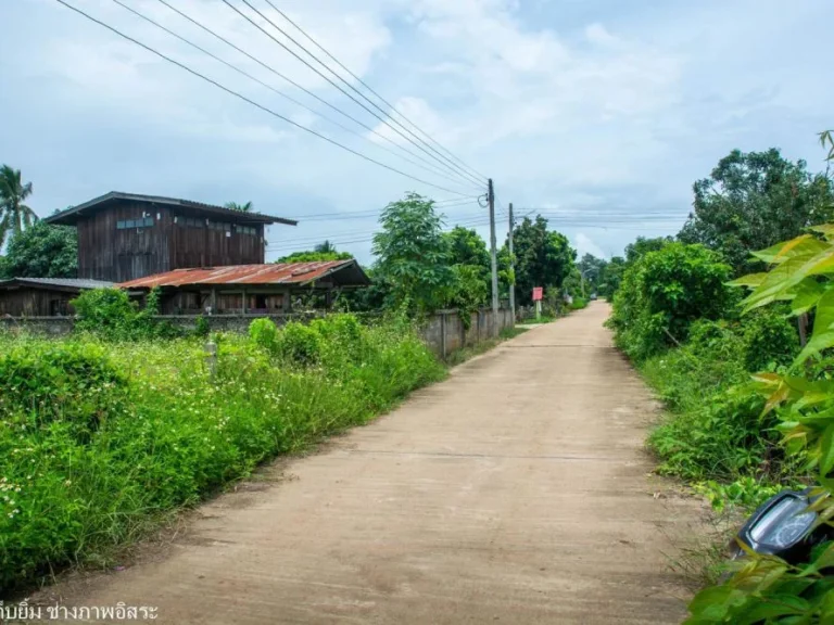 ที่ดินปลูกบ้านเกือบ 2 ไร่ ที่สวยมากน่าอยู่มากถนนน้ำไฟฟ้าครบ ใกล้วัดบ้านปางครูบาศรีวิชัย ถนนหลักทล106 80 เมตร