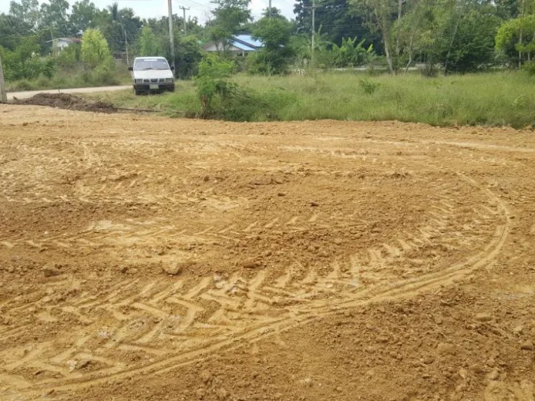 ขายที่ดินซอยวัดบ้านไร่น้ำไม่ท่วม