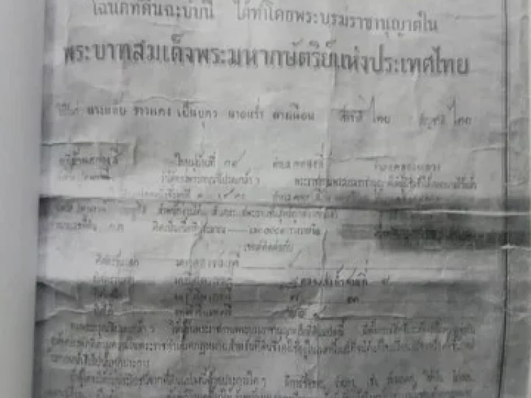 ขายที่ดินเปล่าตำบลคลองสี่ อำเภอคลองหลวง จปทุมธานี เนื้อที่ 22 ไร่