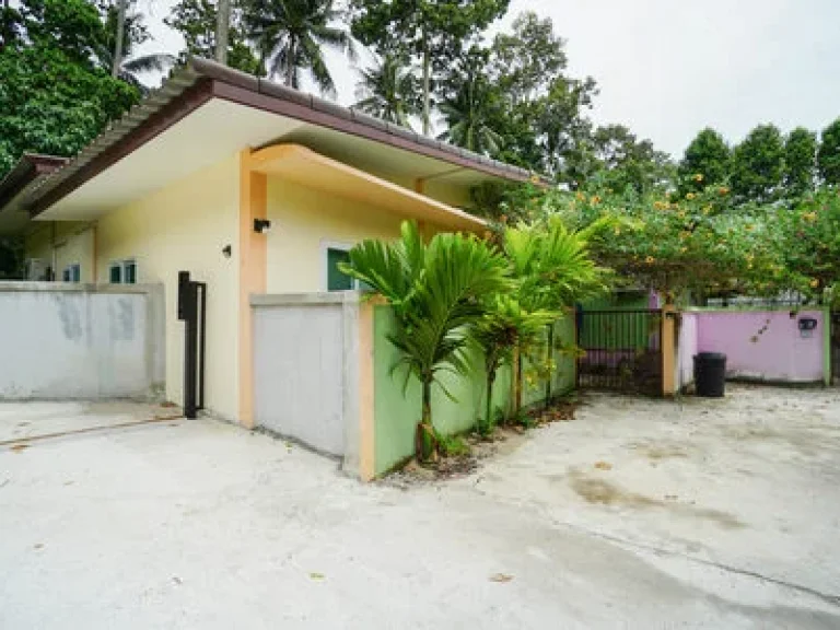 FOR SALE LAND AND 4 HOUSE IN LAMAI KOH SAMUI THAILAND