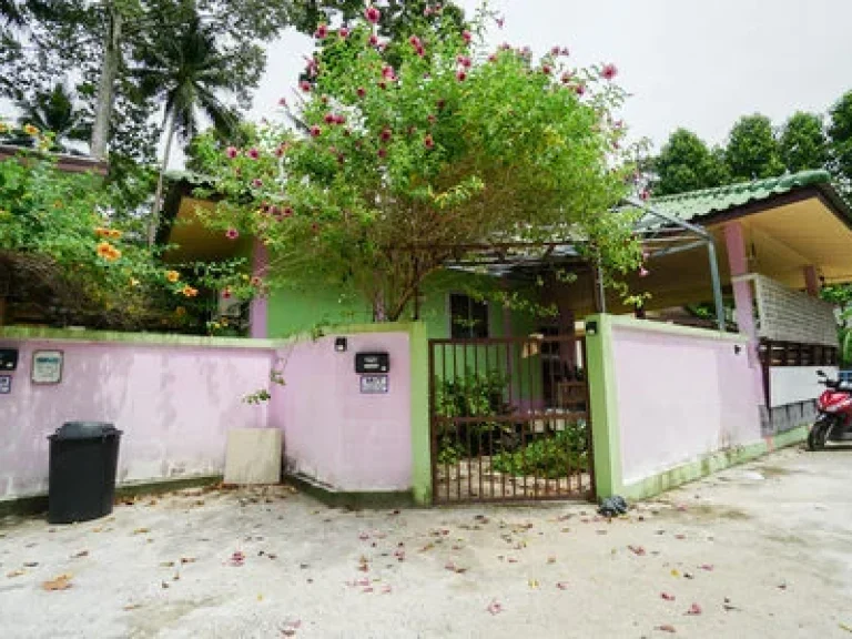 FOR SALE LAND AND 4 HOUSE IN LAMAI KOH SAMUI THAILAND