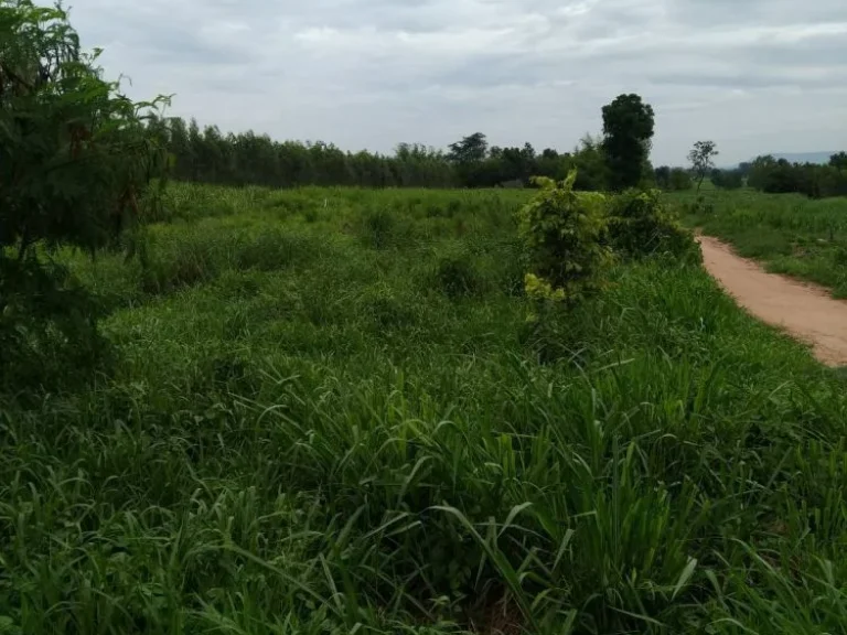 ที่ดินมีโฉนด บ้านดอนหัน อเกษตรสมบูรณ์ จชัยภูมิ