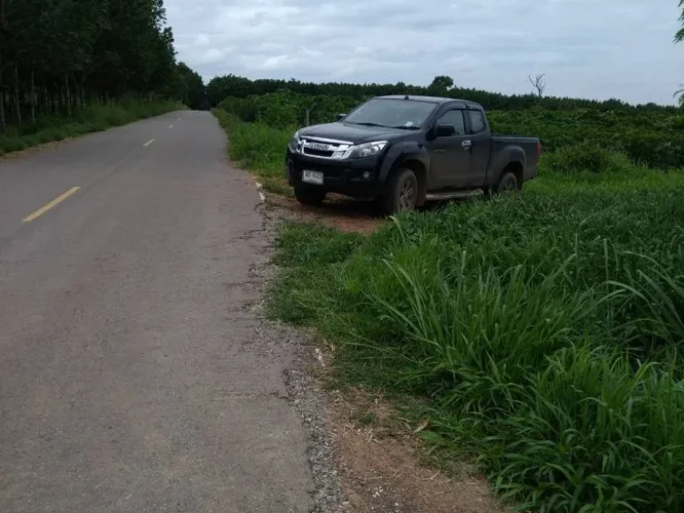 ที่ดินมีโฉนด บ้านดอนหัน อเกษตรสมบูรณ์ จชัยภูมิ