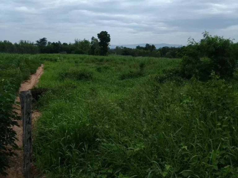 ที่ดินมีโฉนด บ้านดอนหัน อเกษตรสมบูรณ์ จชัยภูมิ