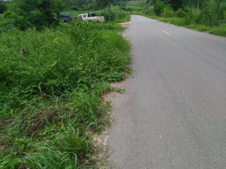 ที่ดินมีโฉนด บ้านดอนหัน อเกษตรสมบูรณ์ จชัยภูมิ