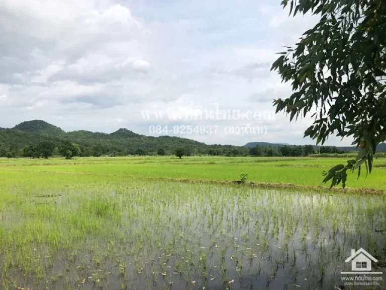 ขายที่นามหาโพธิ-ขายที่นาลพบุรี 10ไร่เศษ โฉนด ตมหาโพธิ อสระโบสถ์ จลพบุรี รหัส L286