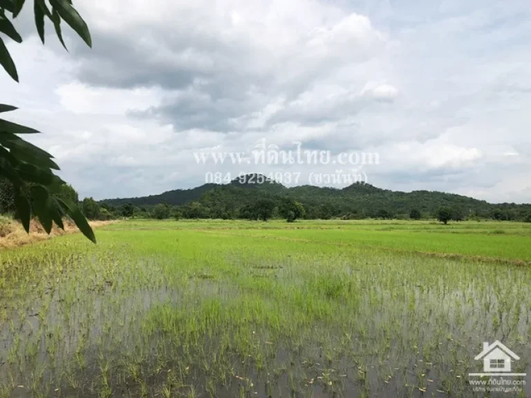 ขายที่นามหาโพธิ-ขายที่นาลพบุรี 10ไร่เศษ โฉนด ตมหาโพธิ อสระโบสถ์ จลพบุรี รหัส L286