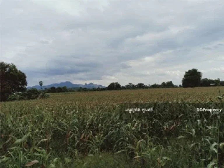 ขายที่ดินพร้อมสิ่งปลูกสร้าง อำเภอพระพุทธบาท จังหวัดสระบุรี