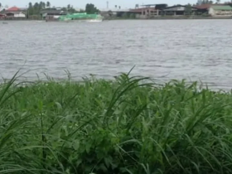 ขายบ้านพร้อมที่ดินติดแม่น้ำเจ้าพระยา อเมือง จปทุมธานี