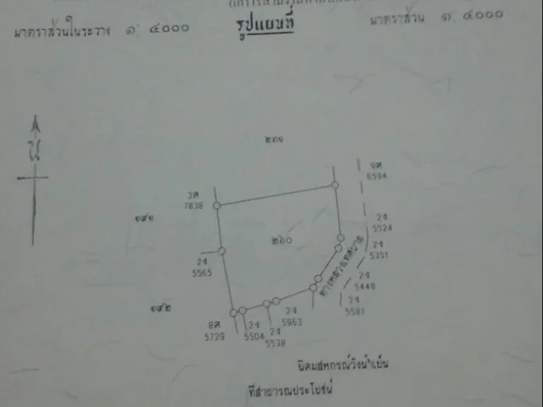 ขายด่วนที่ดินเปล่า ขนาด 9-3-52 ตรว ติดถนนเทศบาล