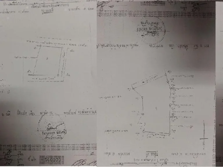 ขายที่ดิน113ไร่ติดถนนมุกดาหาร-คำชะอี