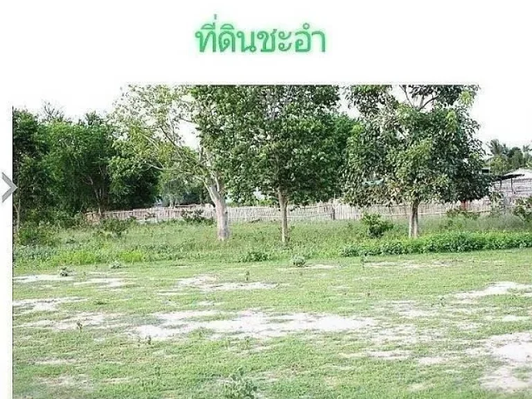 ขายที่ดิน ชะอำ-หัวหัน 179 ตรว