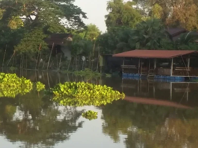 ที่ติดแม่น้ำท่าจีน วิวสวย ติดถนนคอนกรีต ราคาถูก