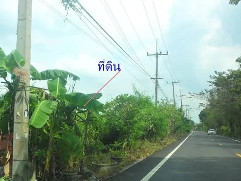 ขายที่ดิน 5ไร่ ติดถนนลาดยาง ไฟ3เฟส อยู่ใกล้ชุมชุน