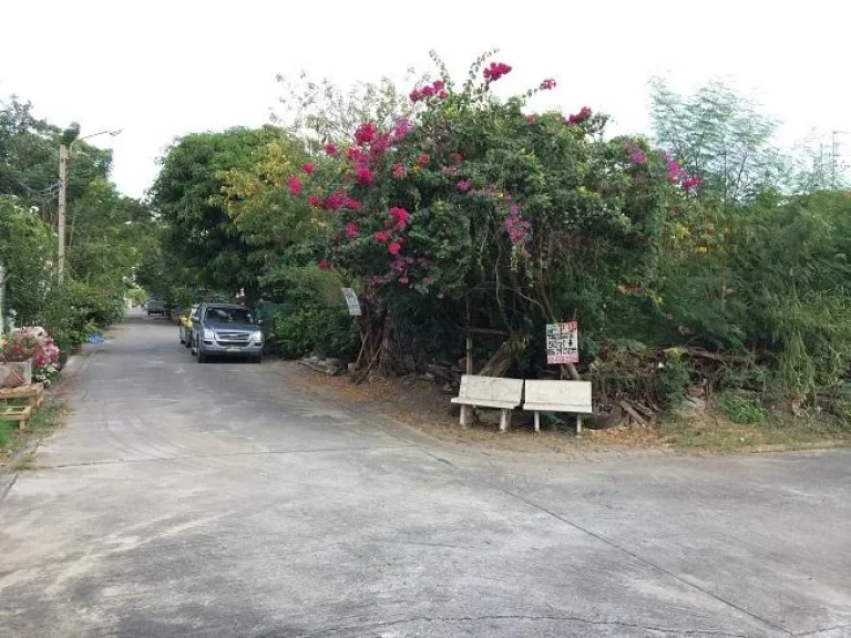 ขายที่ดิน พหลโยธิน 48 แยก17 ซอยสายหยุด พื้นที่ 50 ตรว แปลงมุม ถมแล้ว ใกล้ตลาดสะพานใหม่