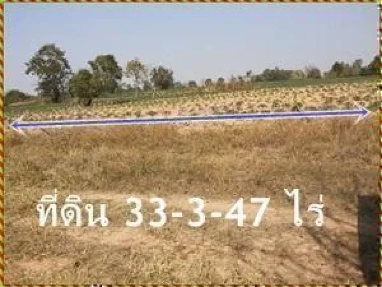 33-3-47 ไร่ ราคาถูก ตสระพระ กิ่งอำเภอพระทองคำ จังหวัดนครราชสีมา