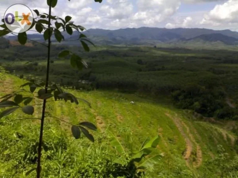 ที่ดินตัวเมืองพังงาบรรยากาศดีวิวสวย180องศา