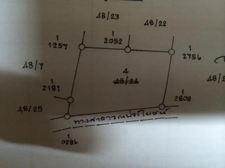 ขายที่ดินสวนยางพารา ด่วนๆๆมาก ราคาต่อรองได้