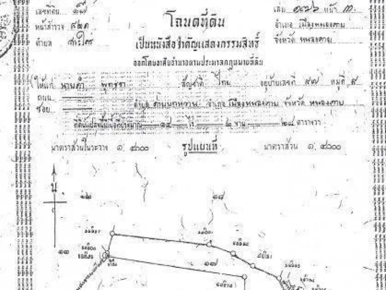 ขายที่ดิน 35ไร่ 3งาน จหนองคาย