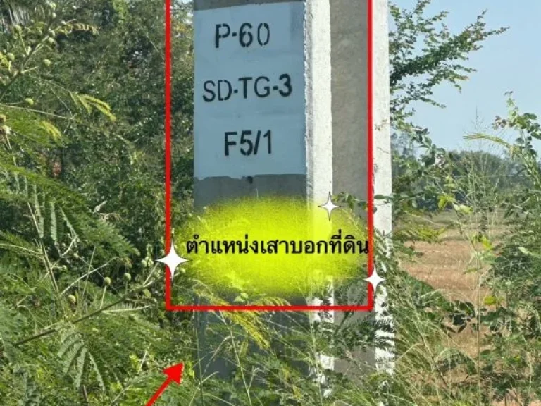 ขายที่ดิน 11 ไร่ 41 ตรว ติดถนน โพธาราม-ราชบุรี