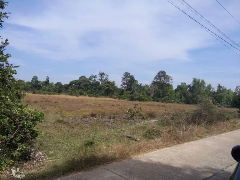 ที่ดินติดถนน ซอยข้างโรงแรมแสงทอง แยกจากถนนอุบลตระการฯ300 เมตร