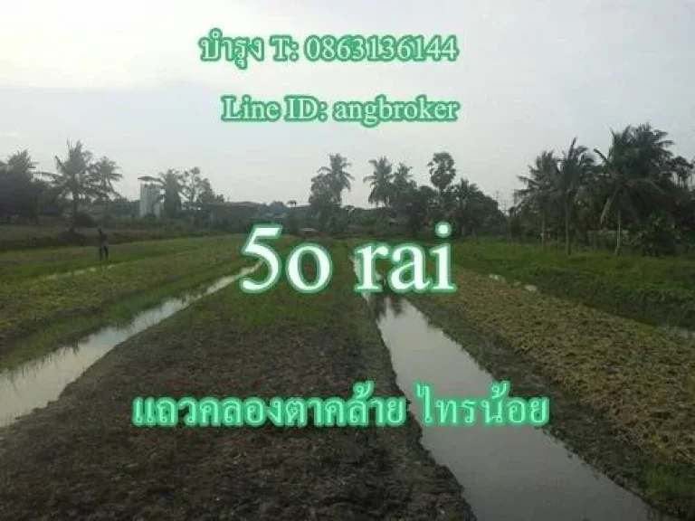 ขายที่ดินแถว อบต บางบัวทอง คลองตาคล้าย คลองขุนศรี ลาดบัวหลวง ทุกแปลง คนขายออกค่าโอนภาษี