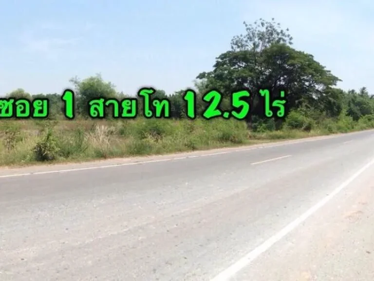 ขายที่ดิน 125 ไร่ ติดถนน ตโคกตูม อเมือง จลพบุรี