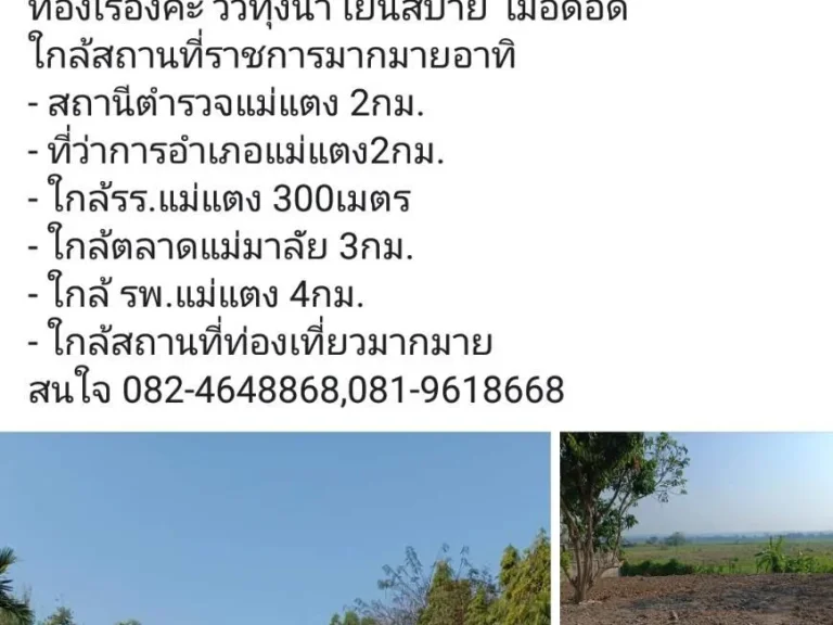 บ้านพร้อมที่ดินแม่แตง บนเนื้อที่340ตรว 1650000