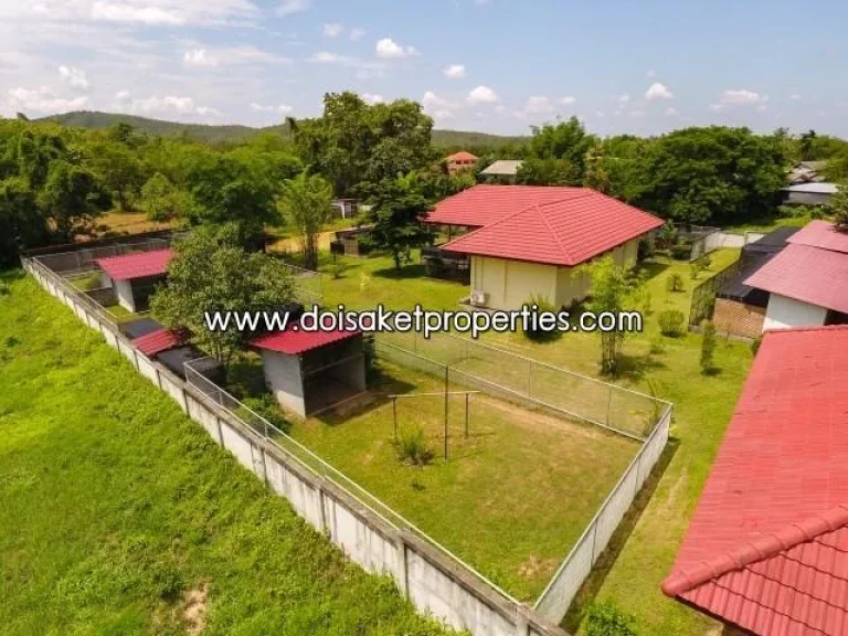 House For Sale with mountain views in Doisaket ขายบ้านเดี่ยวชั้นเดียวพร้อมวิวภูเขาสไตล์บ้านสวน เชิงดอย ดอยสะเก็ด