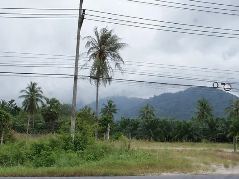 ขายที่ดินติดถนนใหญ่ อขนอม