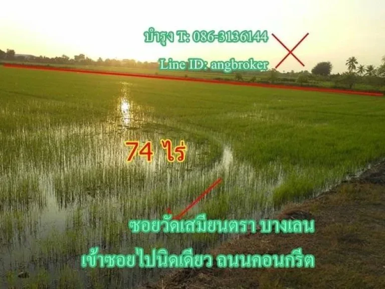 ขายด่วน ที่นา 74ไร่ๆละ75แสนบาท บริเวณซอยวัดเสมียนตรา บางเลน