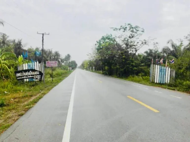 Main road land for sale in Pranburi ขายที่ดินจัดสรร แปลงสวยๆ