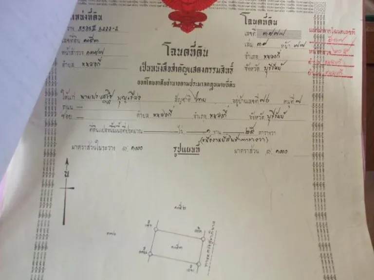 ขายที่ดิน 1 งาน 25 ตารางวา ในเขตเทศบาลตำบลหนองกี่