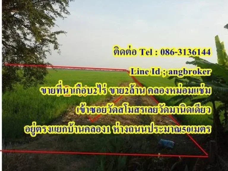 ขายที่นาพื้นที่เกือบ 2ไร่ ขาย2ล้าน คลองหม่อมแช่ม อยู่ตรงแยกบ้านคลอง1 เลยวัดสโมสรนิดเดียว