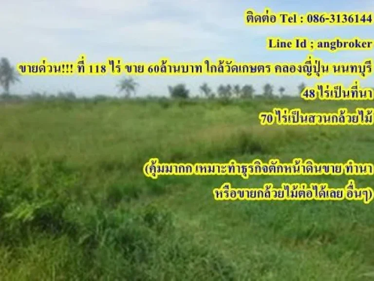 ขายด่วน ที่ 118 ไร่ ขาย 60ล้านบาท ใกล้วัดเกษตร คลองญี่ปุ่น นนทบุรี