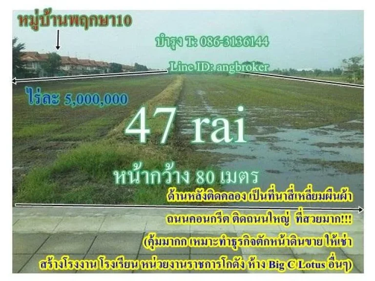 ขายที่นา 47ไร่ ๆละ 5 ล้าน หน้ากว้าง 80เมตร คิดหมู่บ้านพฤกษา10 ไทรน้อย ที่สวยมาก