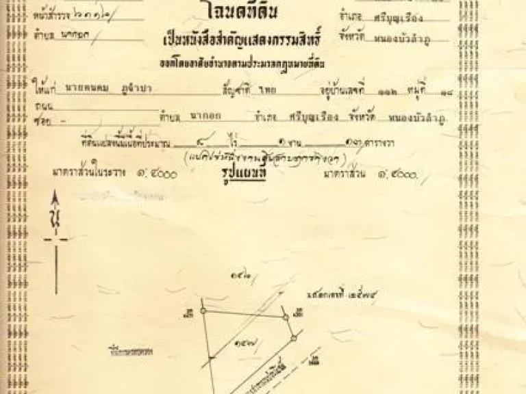 very nice land 8 ไร่ 1งาน 13ตารางวา ขายรวม 1100000 ถูกมาก