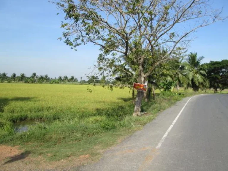 ขายที่ดินแปลงสวย เขตศรีมหาโพธิ์ ติดถนนลาดยาง เหมาะสำหรับปลูกบ้านที่พักอาศัย ทำนา การเกษตร สวนกล้วยไม้ เนื้อที่ 32-1-06 ไร่ ขายไร่ละ 45 แสนบาท พร้อมโอน