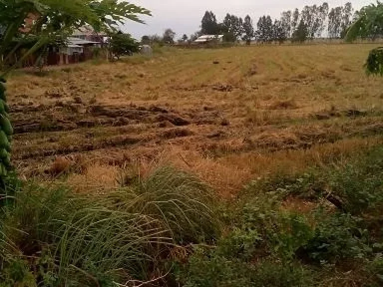 ขายที่ดินเหมาะทำไร่นาสวนผสม บ้านหนองแก้ว ตบางขันหมาก