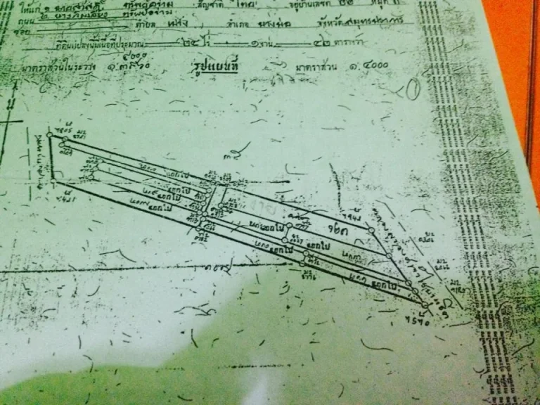 ขายที่ดินเปล่า 24 ไร่ 1 งาน 40 ตรว