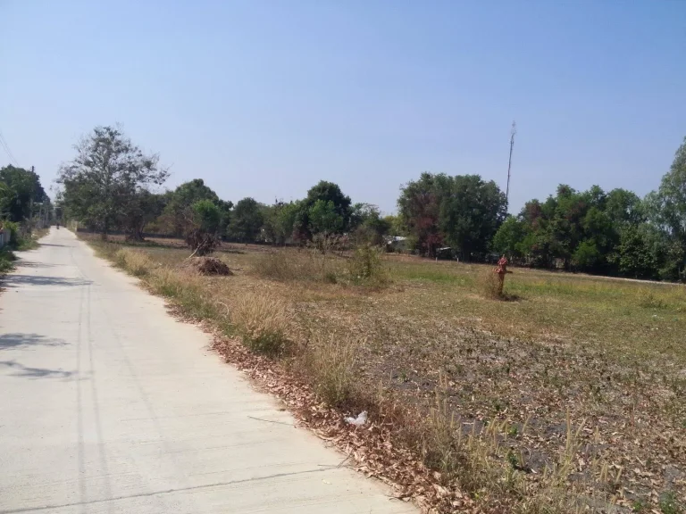 ขายที่ดิน1 ไร่บ้านทางสาย เข้าซอยข้างโรงเรียนบ้านทางสาย500เมตร