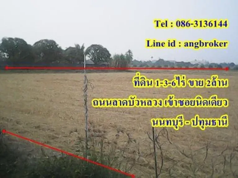 ขายที่ดิน 1-3-6 ไร่ ถรนนลาดบัวหลวง นนทบุรี ขาย2ล้าน