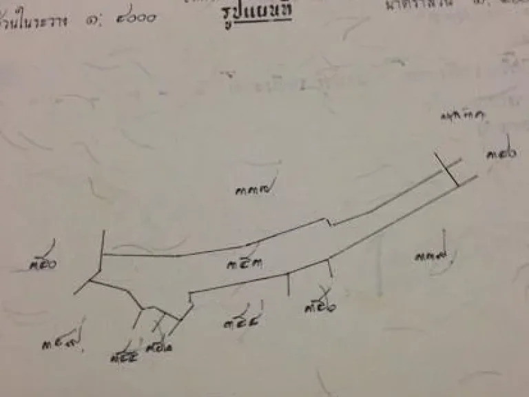 ขายที่นา 6 ไร่ 43 ตรวครับ ราคาสามารถพูดคุยกันก่อนได้ครับ